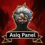 Asiq Panel