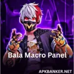 Bala Macro Panel